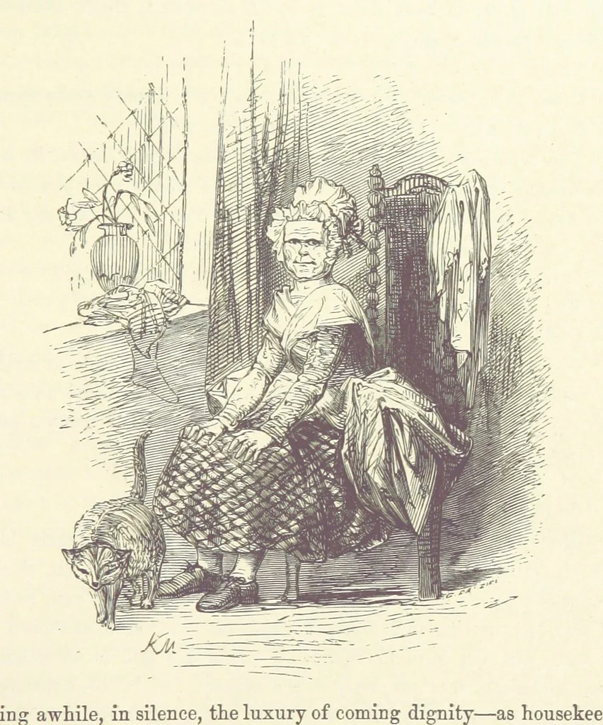 An illustration from Midsummer Eve: a fairy tale of love, 1870, leaf 295