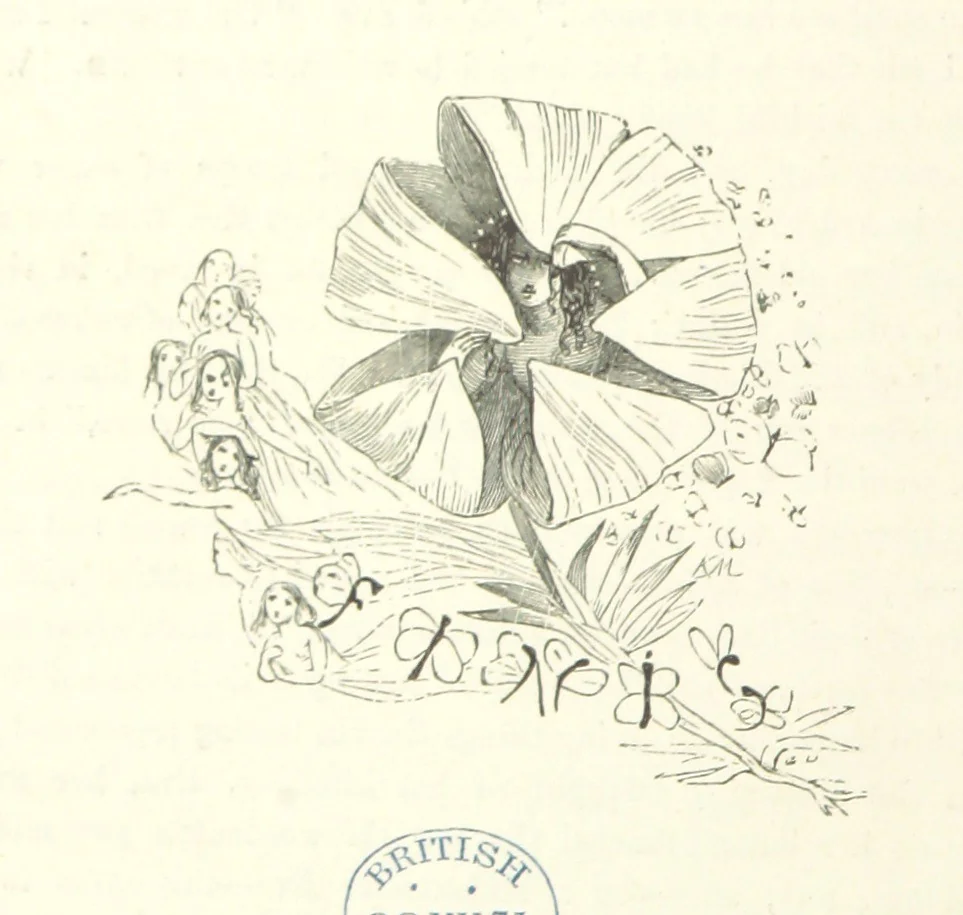 An illustration from Midsummer Eve: a fairy tale of love, 1870, leaf 306