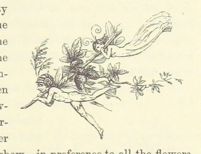 An illustration from Midsummer Eve: a fairy tale of love, 1870, leaf 35