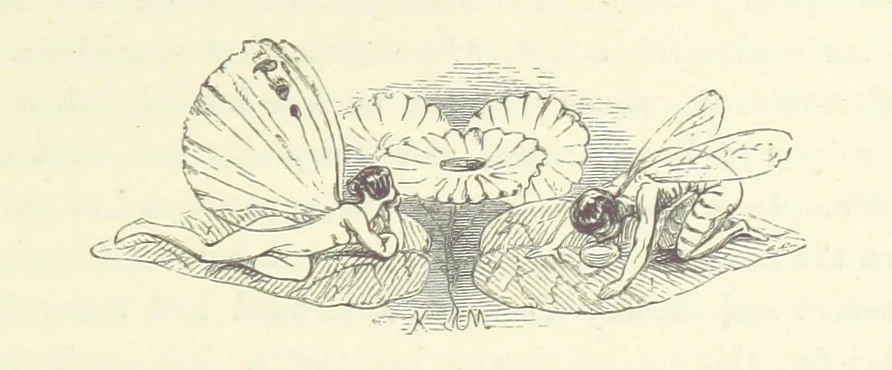 An illustration from Midsummer Eve: a fairy tale of love, 1870, leaf 43