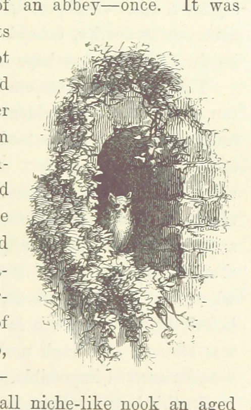 An illustration from Midsummer Eve: a fairy tale of love, 1870, leaf 45