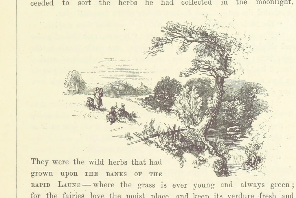 An illustration from Midsummer Eve: a fairy tale of love, 1870, leaf 49