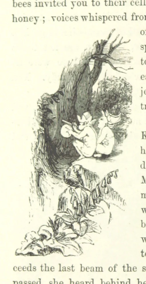 An illustration from Midsummer Eve: a fairy tale of love, 1870, leaf 58