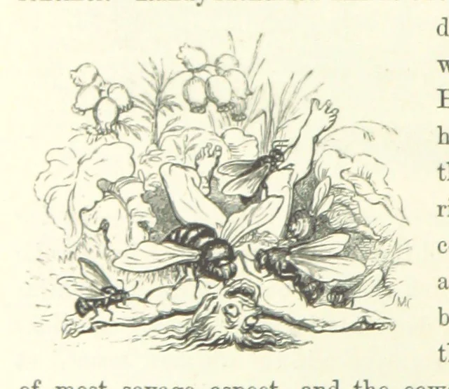 An illustration from Midsummer Eve: a fairy tale of love, 1870, leaf 66