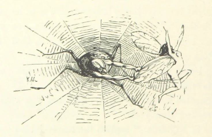 An illustration from Midsummer Eve: a fairy tale of love, 1870, leaf 68