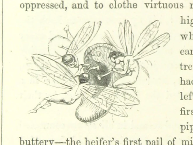 An illustration from Midsummer Eve: a fairy tale of love, 1870, leaf 80
