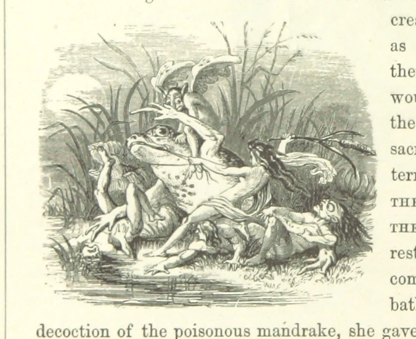 An illustration from Midsummer Eve: a fairy tale of love, 1870, leaf 92