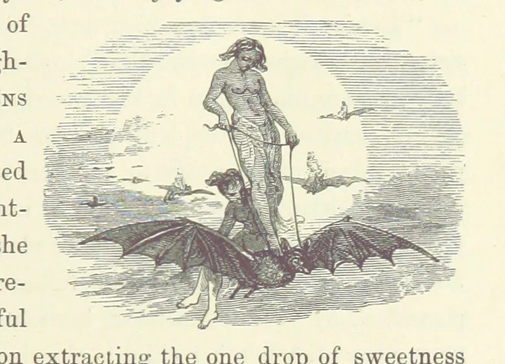 An illustration from Midsummer Eve: a fairy tale of love, 1870, leaf 93