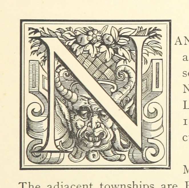 An illustration from A history of the town and parish of Nantwich, or Wich-Malbank, in the county palatine of Chester, 1883, leaf 25