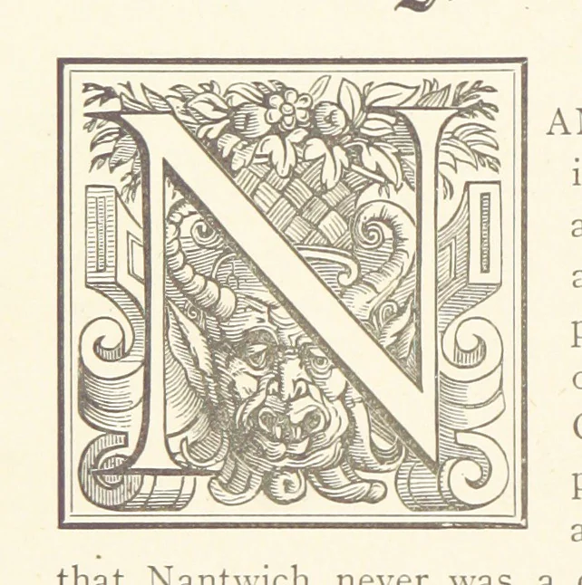 An illustration from A history of the town and parish of Nantwich, or Wich-Malbank, in the county palatine of Chester, 1883, leaf 300
