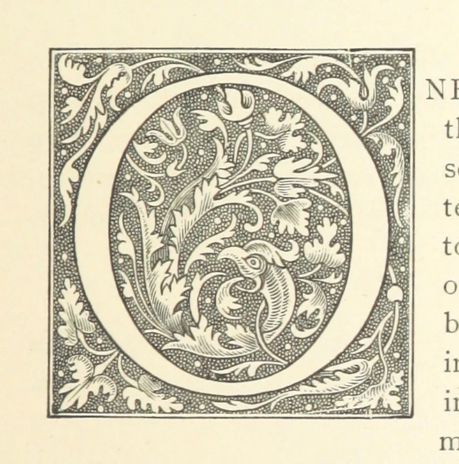 An illustration from A history of the town and parish of Nantwich, or Wich-Malbank, in the county palatine of Chester, 1883, leaf 423
