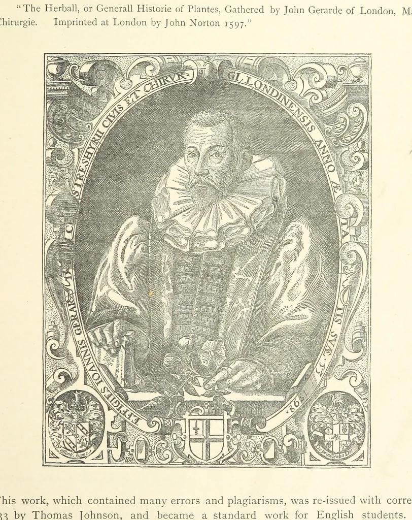 An illustration from A history of the town and parish of Nantwich, or Wich-Malbank, in the county palatine of Chester, 1883, leaf 521