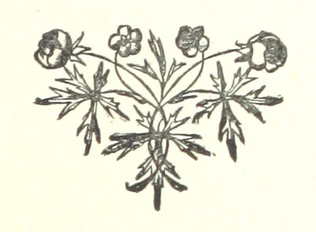 An illustration from Barbara Leybourne; a story of eighty years ago, 1889, leaf 245