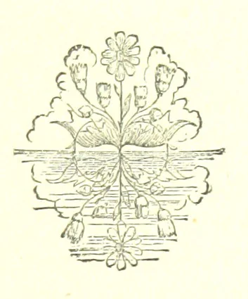 An illustration from Hanbury Mills. A study of contrasts. By the author of “Lady Betty” [C. R. Coleridge]. With ... illustrations by H. W. Petherick, 1872, leaf 181