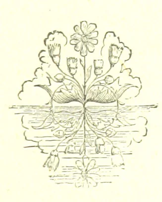 An illustration from Hanbury Mills. A study of contrasts. By the author of “Lady Betty” [C. R. Coleridge]. With ... illustrations by H. W. Petherick, 1872, leaf 349