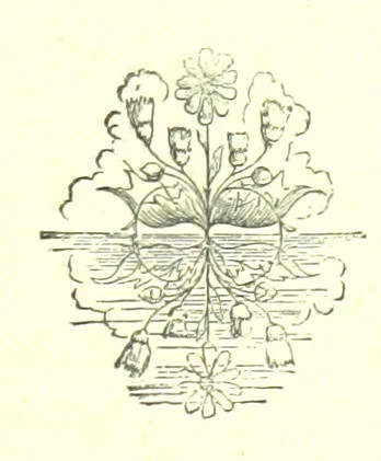 An illustration from Hanbury Mills. A study of contrasts. By the author of “Lady Betty” [C. R. Coleridge]. With ... illustrations by H. W. Petherick, 1872, leaf 39
