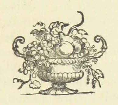 An illustration from A Friend in Ten Thousand. A novel, 1884, leaf 49