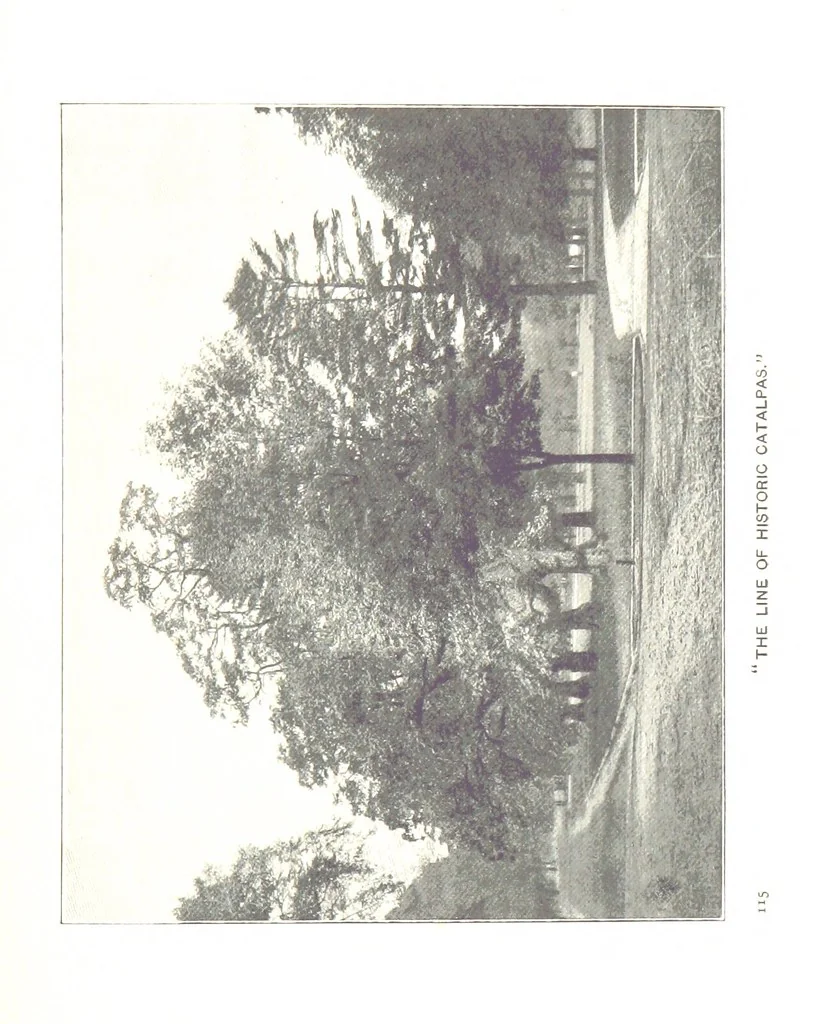 An illustration from More Colonial Homesteads and their stories, 1899, leaf 137