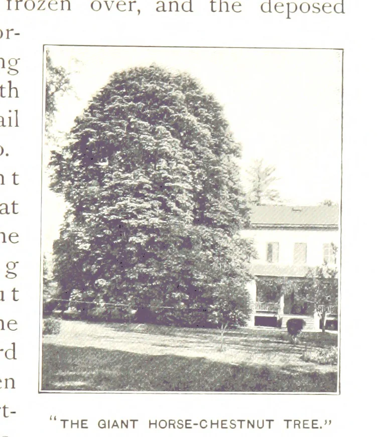 An illustration from More Colonial Homesteads and their stories, 1899, leaf 175