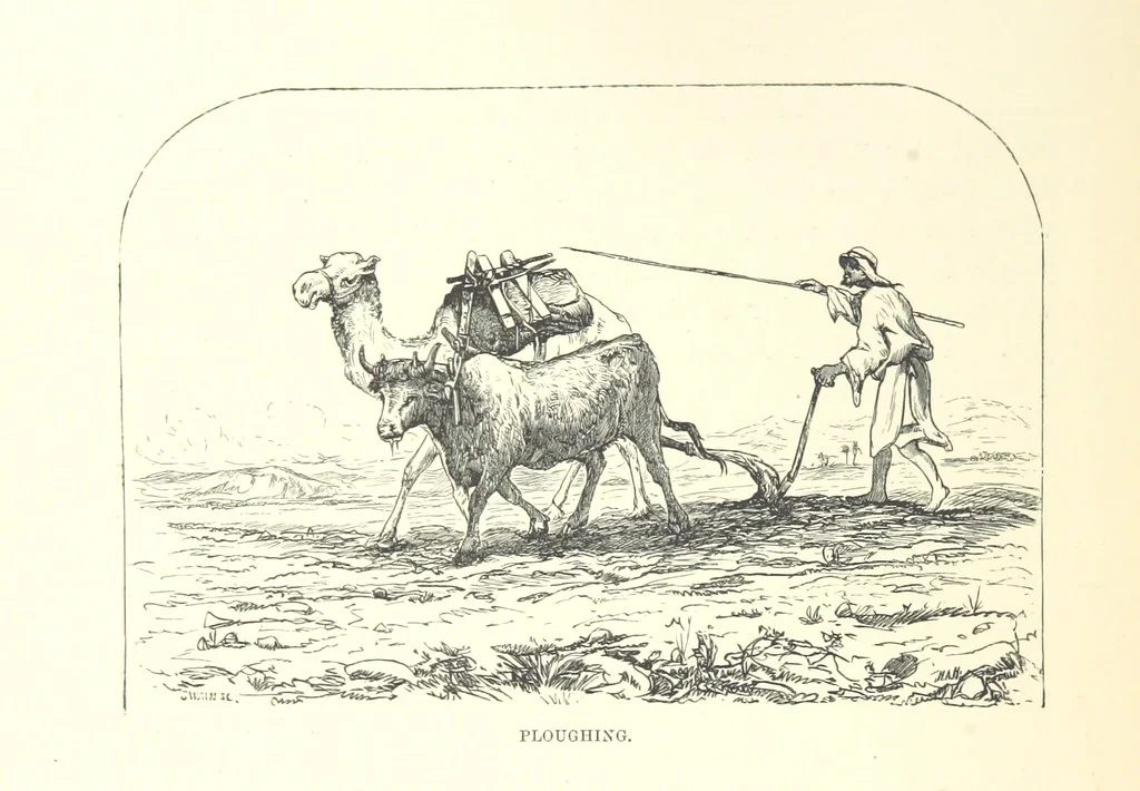 An illustration from Illustrated letters to my children from the Holy Land. Eastern manners and customs depicted in ... sketches from life, 1880, leaf 22