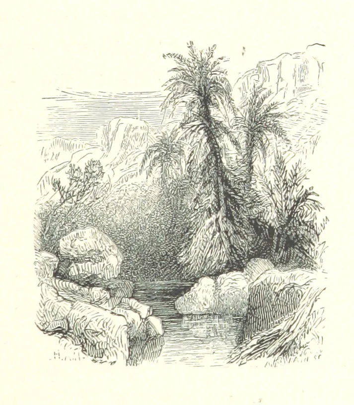 An illustration from Illustrated letters to my children from the Holy Land. Eastern manners and customs depicted in ... sketches from life, 1880, leaf 47