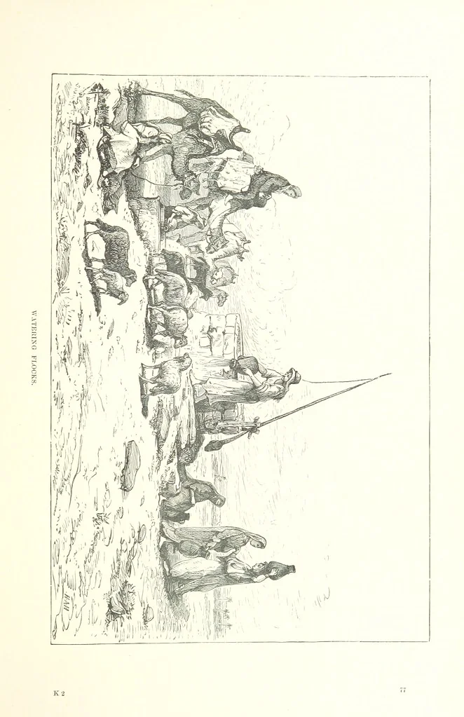 An illustration from Illustrated letters to my children from the Holy Land. Eastern manners and customs depicted in ... sketches from life, 1880, leaf 77