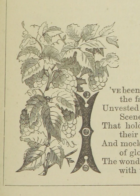 An illustration from Wayside Pictures, Hymns, and Poems ... With a portrait of the author, 1874, leaf 109