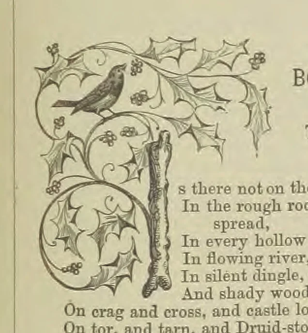 An illustration from Wayside Pictures, Hymns, and Poems ... With a portrait of the author, 1874, leaf 113