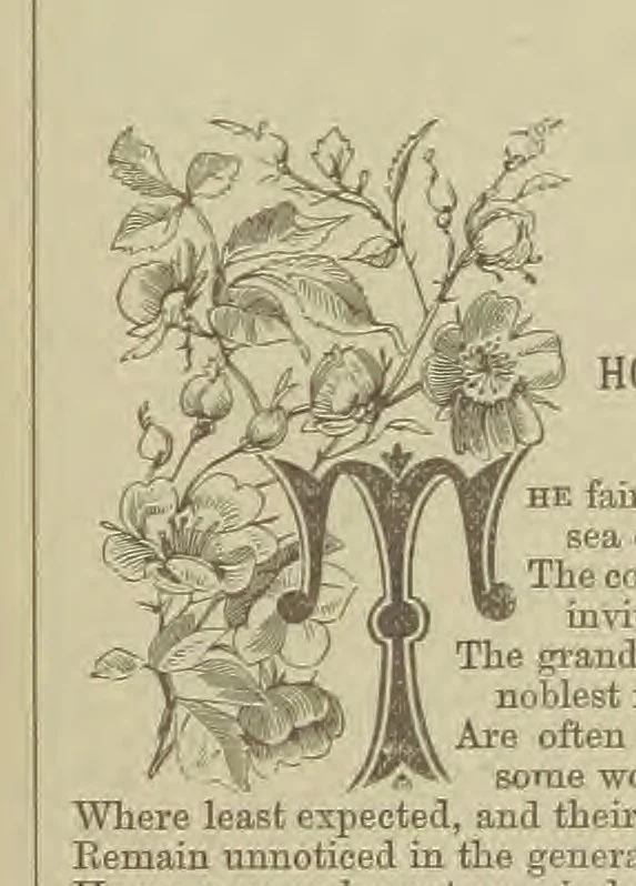 An illustration from Wayside Pictures, Hymns, and Poems ... With a portrait of the author, 1874, leaf 23
