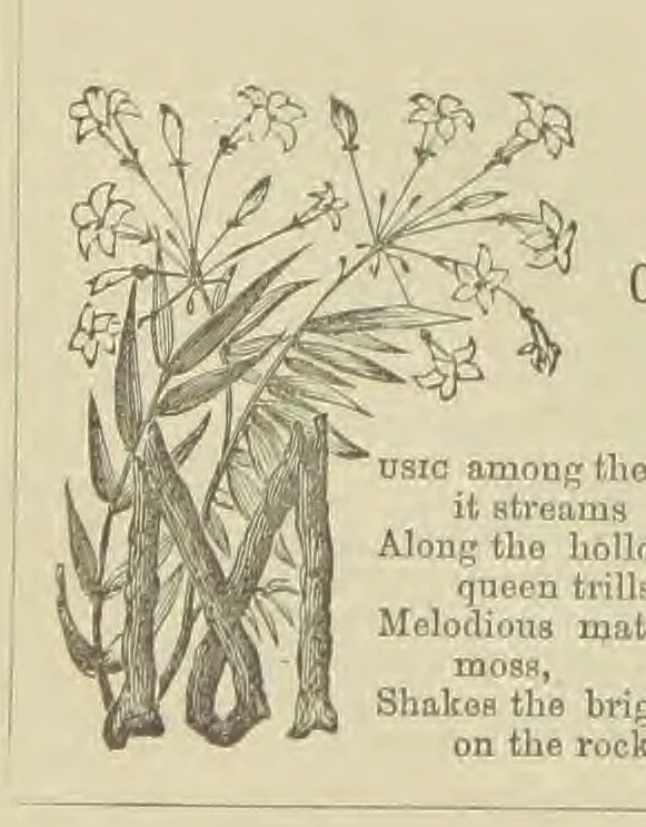 An illustration from Wayside Pictures, Hymns, and Poems ... With a portrait of the author, 1874, leaf 50