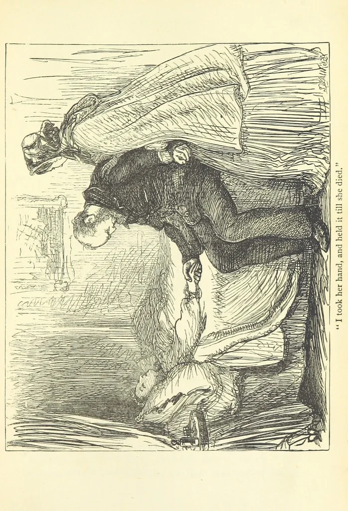 An illustration from The Queen of the Arena and other stories ... illustrated by Millais and others, 1880, leaf 221