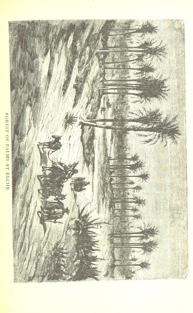 An illustration from Spain. (Sketch of the 'History of Spain') ... Illustrations, 1881, leaf 295