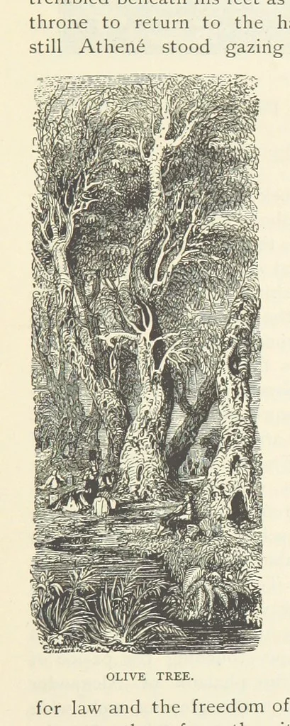 An illustration from The Story of Greece, 1885, leaf 89