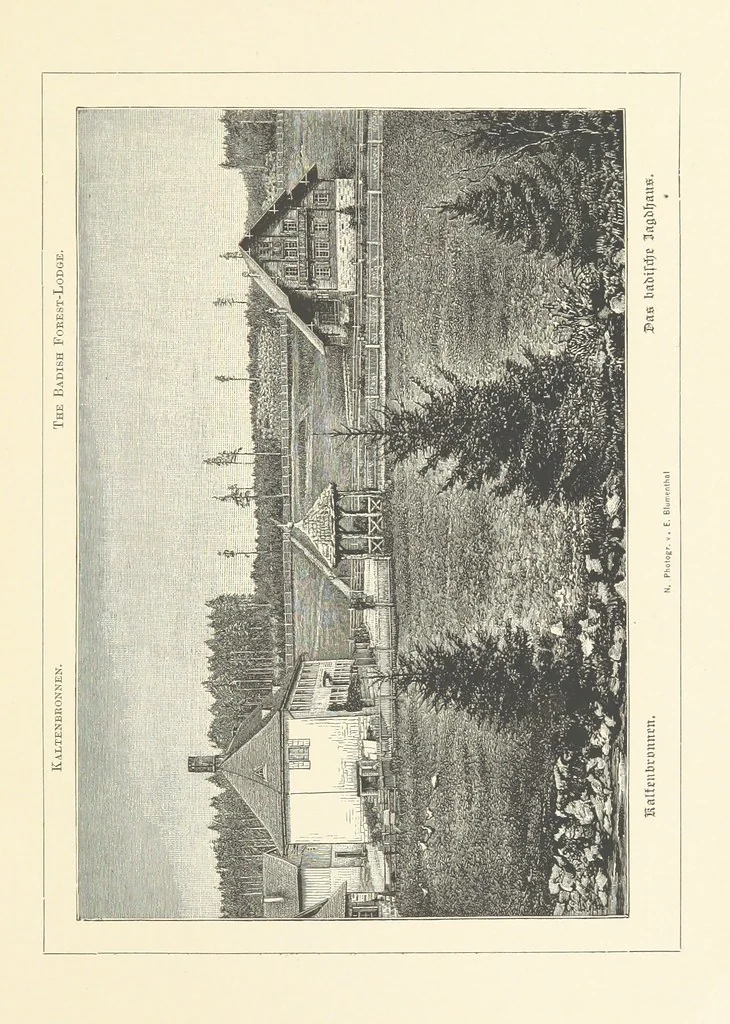 An illustration from Wildbad ... Illustrated by H. Drück [and others], etc, 1888, leaf 125
