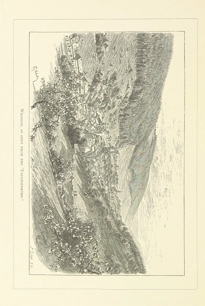 An illustration from Wildbad ... Illustrated by H. Drück [and others], etc, 1888, leaf 8