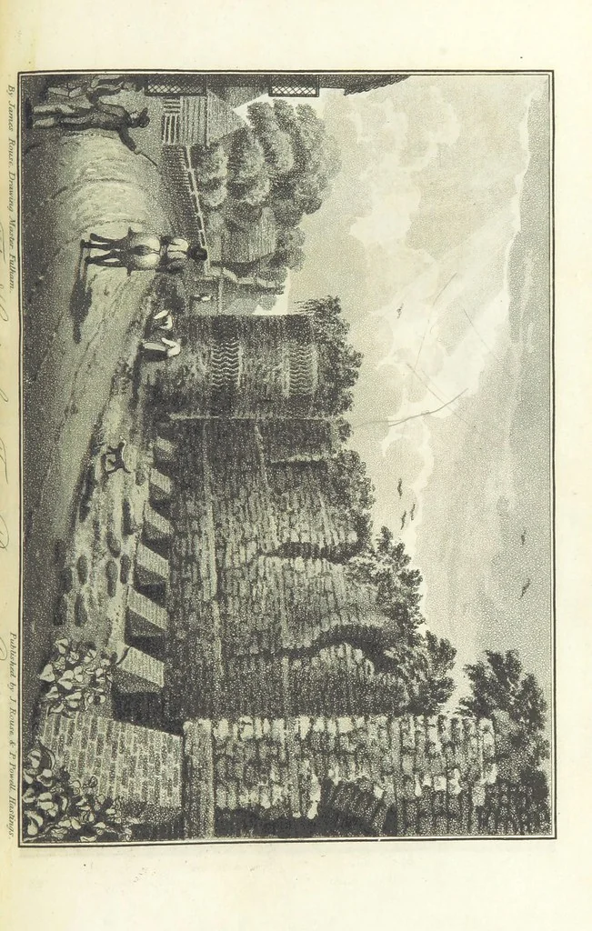 An illustration from Hastings Guide. Second edition. A concise ... sketch of Hastings, Winchelsea, and Rye, etc, 1827, leaf 111