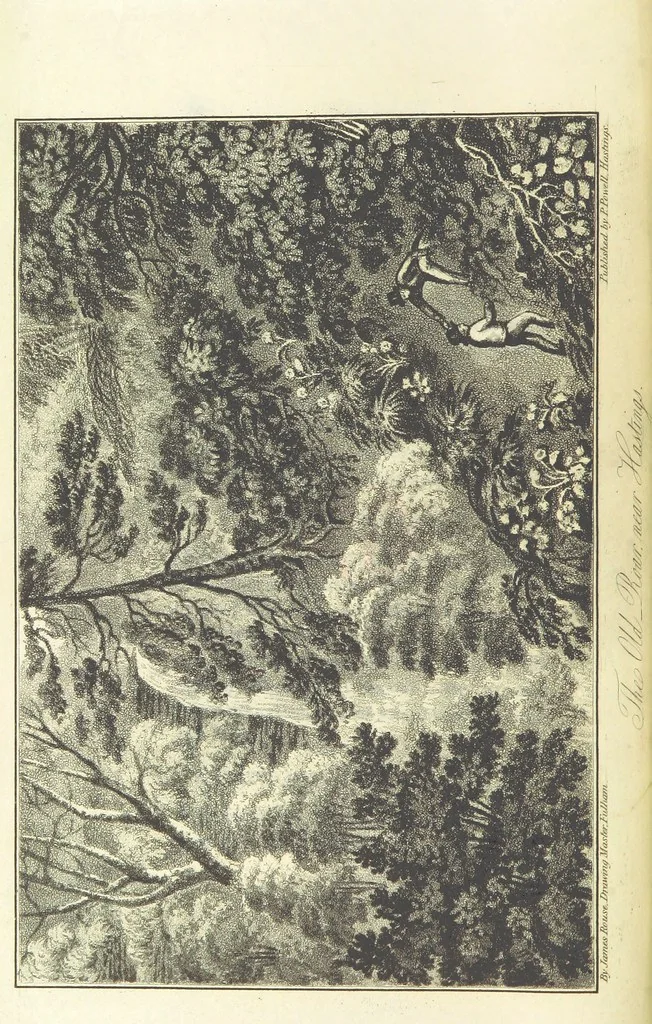 An illustration from Hastings Guide. Second edition. A concise ... sketch of Hastings, Winchelsea, and Rye, etc, 1827, leaf 122