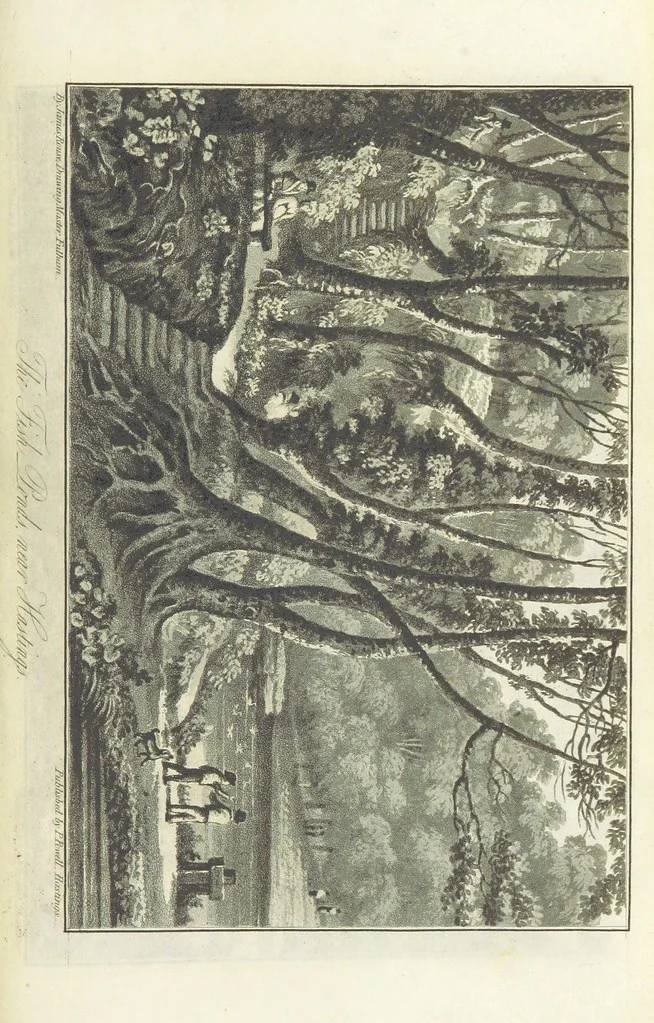 An illustration from Hastings Guide. Second edition. A concise ... sketch of Hastings, Winchelsea, and Rye, etc, 1827, leaf 125