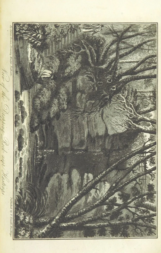 An illustration from Hastings Guide. Second edition. A concise ... sketch of Hastings, Winchelsea, and Rye, etc, 1827, leaf 129