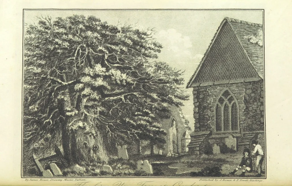 An illustration from Hastings Guide. Second edition. A concise ... sketch of Hastings, Winchelsea, and Rye, etc, 1827, leaf 132
