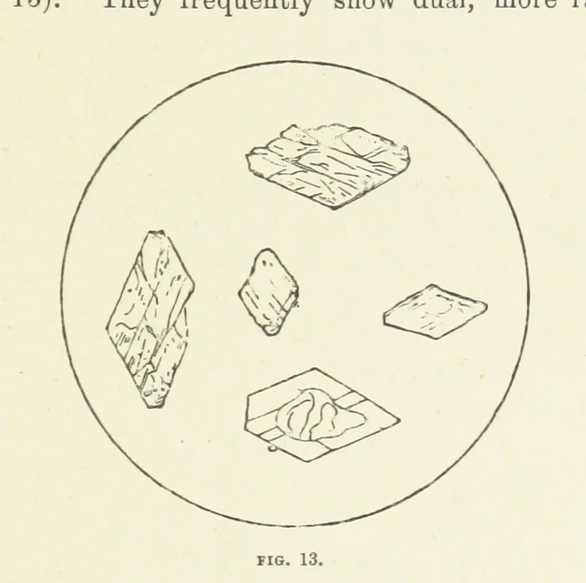 An illustration from An Introduction to the study of Petrology: the Igneous Rocks ... With ... illustrations, 1891, leaf 41