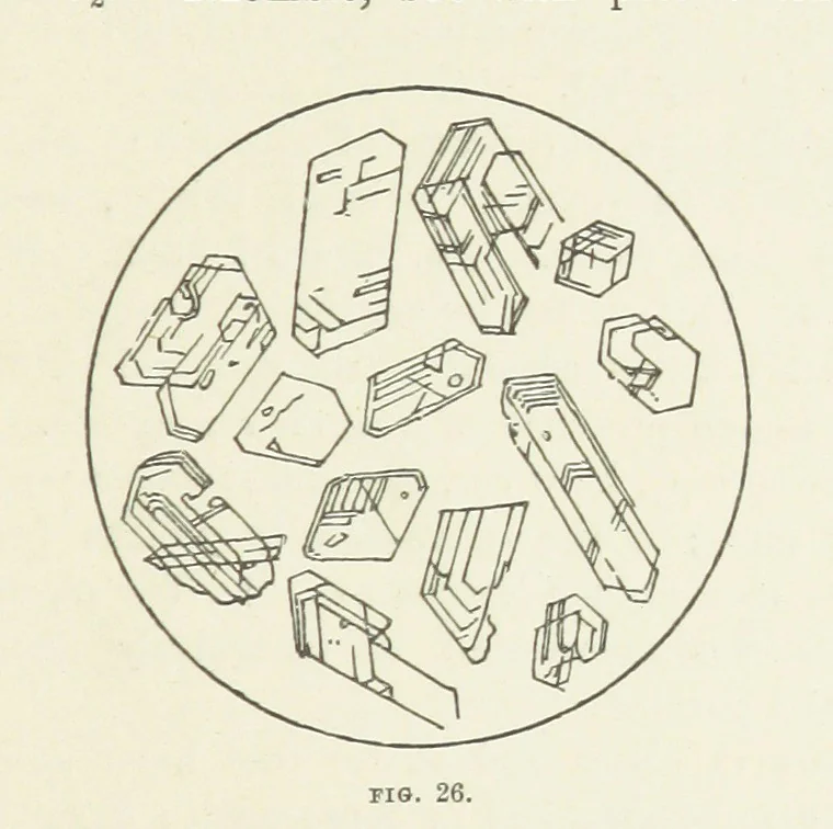 An illustration from An Introduction to the study of Petrology: the Igneous Rocks ... With ... illustrations, 1891, leaf 65