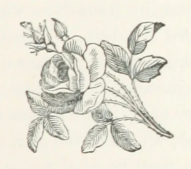 An illustration from Norstone; or, the rifts in the cloud. [A story, 1879, leaf 127