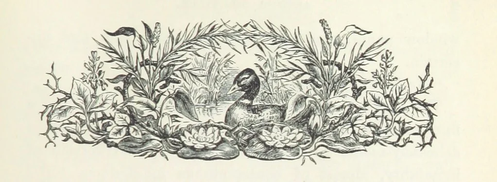 An illustration from Norstone; or, the rifts in the cloud. [A story, 1879, leaf 13