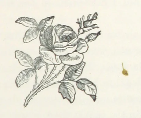 An illustration from Norstone; or, the rifts in the cloud. [A story, 1879, leaf 187