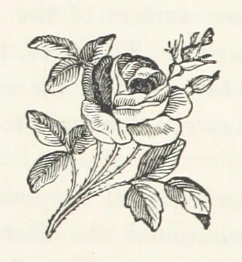 An illustration from Norstone; or, the rifts in the cloud. [A story, 1879, leaf 40