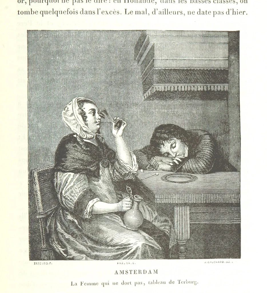 An illustration from Amsterdam et Venise. Ouvrage enrichi de sept eauxfortes par MM. L. Flameng et Gaucherel, et de cent vingt-quatre gravures sur bois, 1876, leaf 479