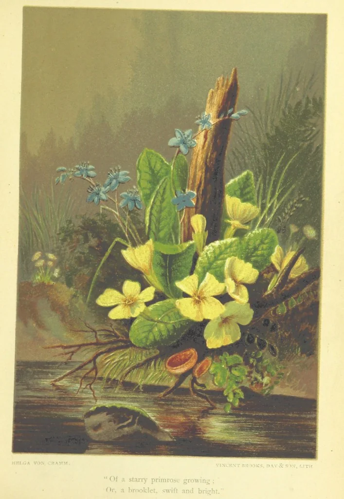 An illustration from Life Chords: comprising “Zenith,” “Loyal Responses,” and other poems. ... With ... illustrations by the Baroness H. von Cramm. [Edited by M. V. G. H., i.e. Maria V. G. Havergal, 1880, leaf 133