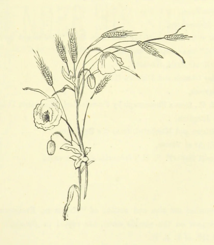An illustration from Life Chords: comprising “Zenith,” “Loyal Responses,” and other poems. ... With ... illustrations by the Baroness H. von Cramm. [Edited by M. V. G. H., i.e. Maria V. G. Havergal, 1880, leaf 19