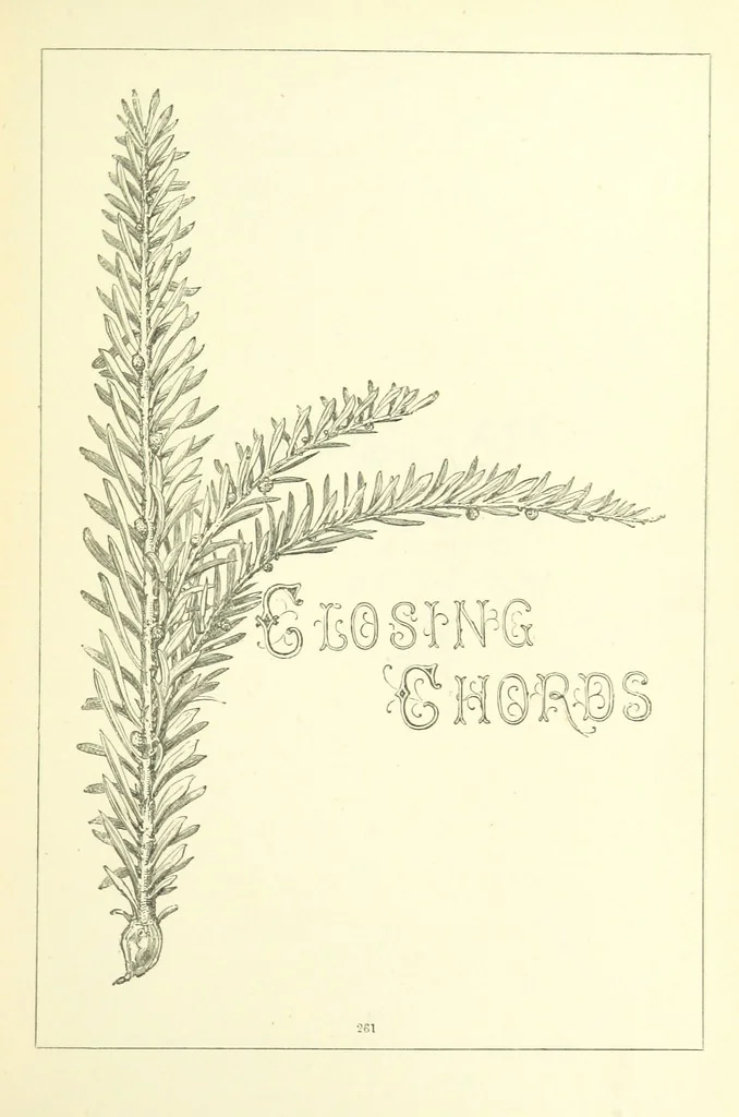 An illustration from Life Chords: comprising “Zenith,” “Loyal Responses,” and other poems. ... With ... illustrations by the Baroness H. von Cramm. [Edited by M. V. G. H., i.e. Maria V. G. Havergal, 1880, leaf 297